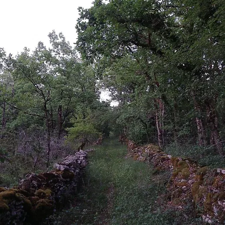 Le Cornouiller Mobil 4 Personnes Le Bel Air Kemping *