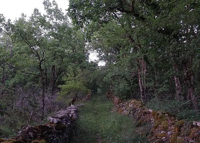 Le Cornouiller Mobil 4 Personnes Le Bel Air En Quercy Campeggio *